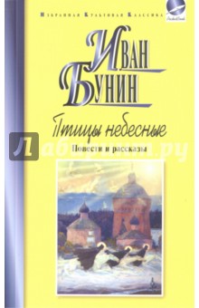 Симптомы грибка ногтей на ногах и руках (фото) Принципы и функции гражданского права