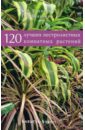 Борис Головкин - 120 лучших пестролистных комнатных растений обложка книги