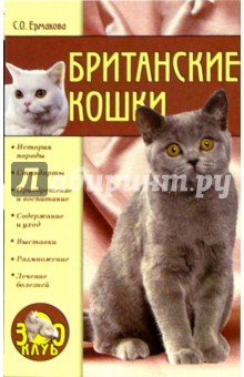 Британские кошки - Светлана Ермакова