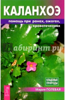 Каланхоэ - помощь при ранах, ожогах, кровотечениях - Мария Полевая