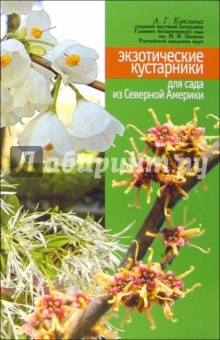 Экзотические кустарники для сада из Северной Америки - Алла Куклина