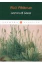 Leaves of grass leaves of grass