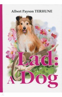 Lad. A Dog
