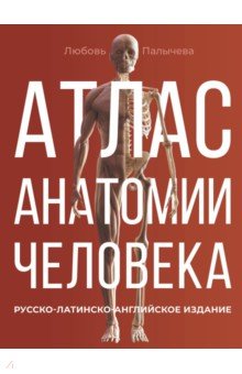 Атлас анатомии человека. Русско-латинско-английское издание АСТ
