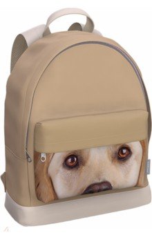 Рюкзак с отделением для ноутбука Beige Dog