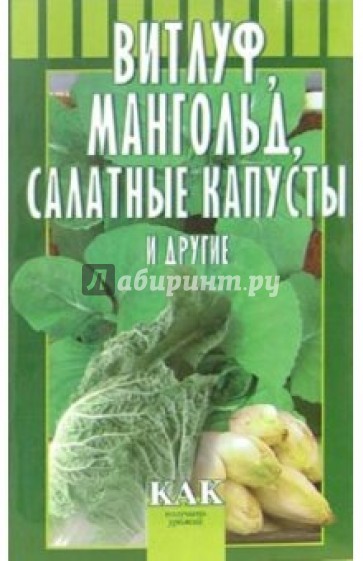 Витлуф, мангольд, салатные капусты и другие