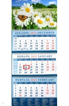 

Календарь квартальный на 2025 год Ромашки и бабочка