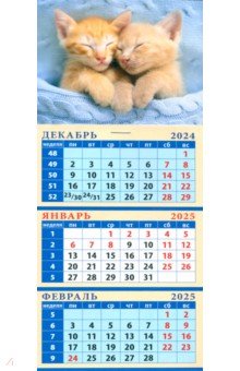 

Календарь квартальный на магните на 2025 год Забавные котята