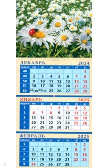 

Календарь квартальный на магните на 2025 год Ромашки с божьей коровкой