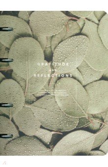 

Тетрадь Botanica. Эвкалипт популус, 120 листов, клетка, кольцевой механизм