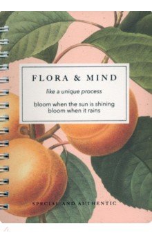

Блокнот Flora, Персики, 80 листов, клетка