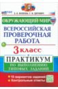 ВПР. Окружающий мир. 3 класс. Практикум по выполнению типовых заданий. 10 вариантов заданий