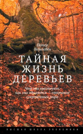 Тайная жизнь деревьев. Что они чувствуют, как они общаются — открытие сокровенного мира