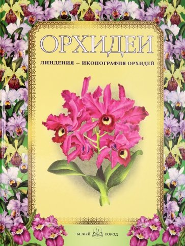 Орхидеи. Линдения - иконография орхидей