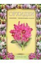 Орхидеи. Линдения - иконография орхидей гульд джон орхидеи линдения иконография орхидей кожаный