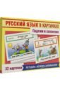 Русский язык в картинках. Падежи и склонения, 32 карточки - Смирнова А.