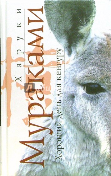 Хороший день для кенгуру