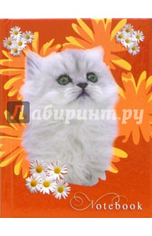 Записная книжка А6. Белый котенок на красном /С94119.