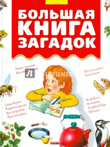 Большая книга загадок