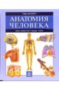 обучающий набор анатомия человека тело learning resources Анатомия человека. Как работает ваше тело