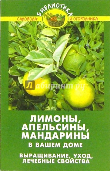 Лимоны, апельсины, мандарины в вашем доме. Выращивание, уход, лечебные свойства