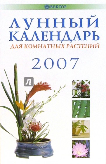 Лунный календарь для комнатных растений 2007 год