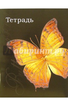 Тетрадь 48л клетка. Оранжевая бабочка (ТКБ848733).