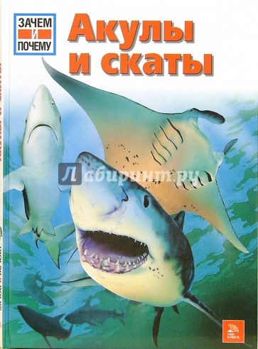 Акулы и скаты