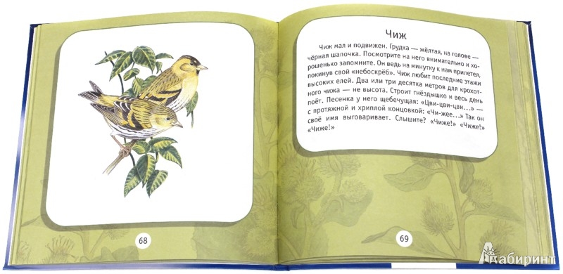 Иллюстрация 1 из 21 для Про птиц. Моя первая книга о животных - Александр Тихонов | Лабиринт - книги. Источник: Лабиринт