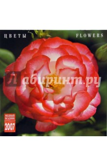 Календарь: Цветы 2007 год (07114).