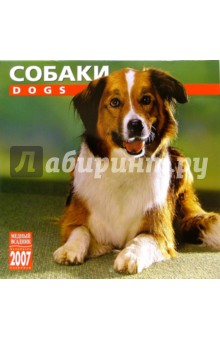 Календарь: Собаки 2007 год (07119).