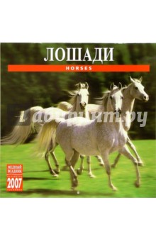 Календарь: Лошади 2007 год (07136).