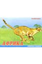 Животные Африки. Раскраска (М-013) животные азии раскраска м 015