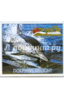 CD. Dolphins Delight.