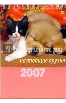 Календарь 2007 Настоящие друзья (10607).