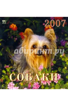 Календарь 2007 Собаки (30607).