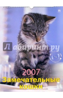 Календарь 2007 Замечательные кошки (60602).
