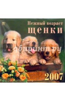 Календарь 2007 Нежный возраст. Щенки (70604).