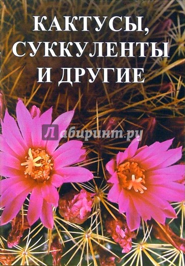 Кактусы, суккуленты и другие