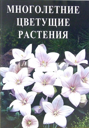 Многолетние цветущие растения