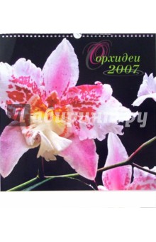 Календарь: Орхидеи 2007 год.