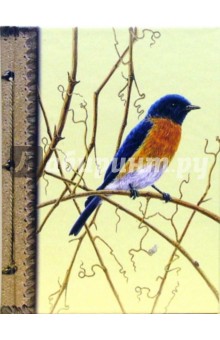 Ежедневник недатированный: Птица с оранжевой грудкой (Е160108).
