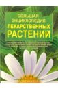 Большая энциклопедия лекарственных растений большая энциклопедия лекарственных растений
