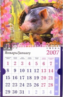 Календарь 2007 Поросенок с бутылкой (МО-0026).