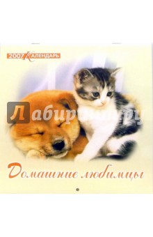 Календарь 2007 Домашние любимцы (07-12-011).