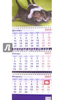 Календарь 2007  Три котенка.