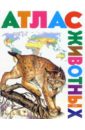 Атлас животных чанселлор дебора атлас животных карта закладка