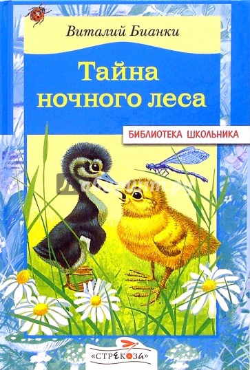 Тайна ночного леса