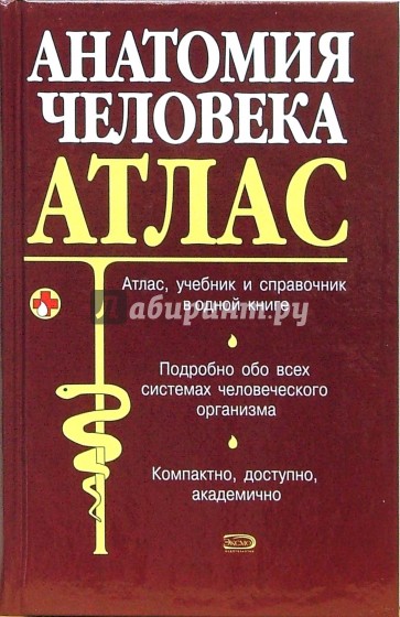 Анатомия человека атлас читать. Атлас анатомии человека Боянович. Человек: атлас.. Боянович, ю. в. анатомия человека : атлас Эксмо 2006. Анатомия человека атлас Боянович Балакирев.