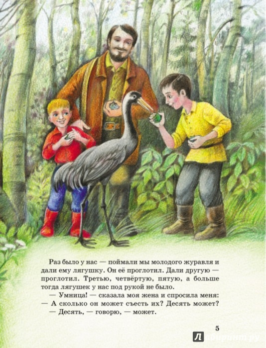 Иллюстрация 5 из 47 для Рассказы о животных - Михаил Пришвин | Лабиринт - книги. Источник: Лабиринт